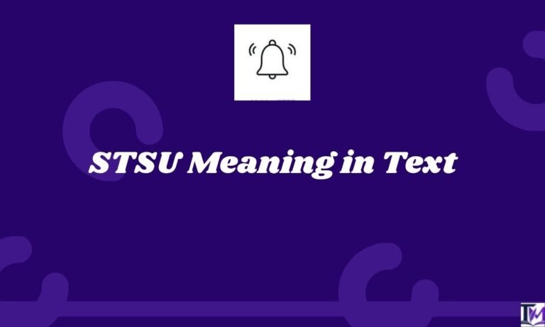 STSU Meaning in Text